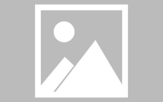 延边招聘官网网页设计教程（招聘官网网页设计教程下载）